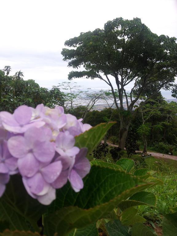 The Jerai Hill Resort Yan Exterior photo